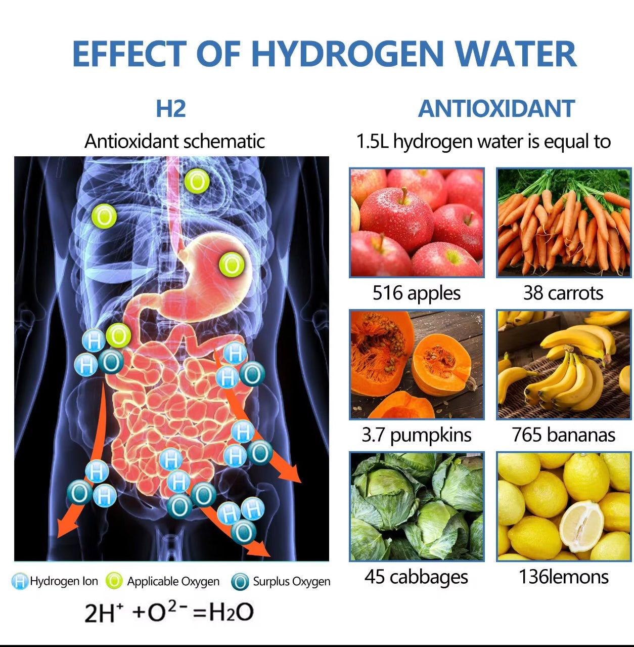 HYDROGEN WATER BOTTLE