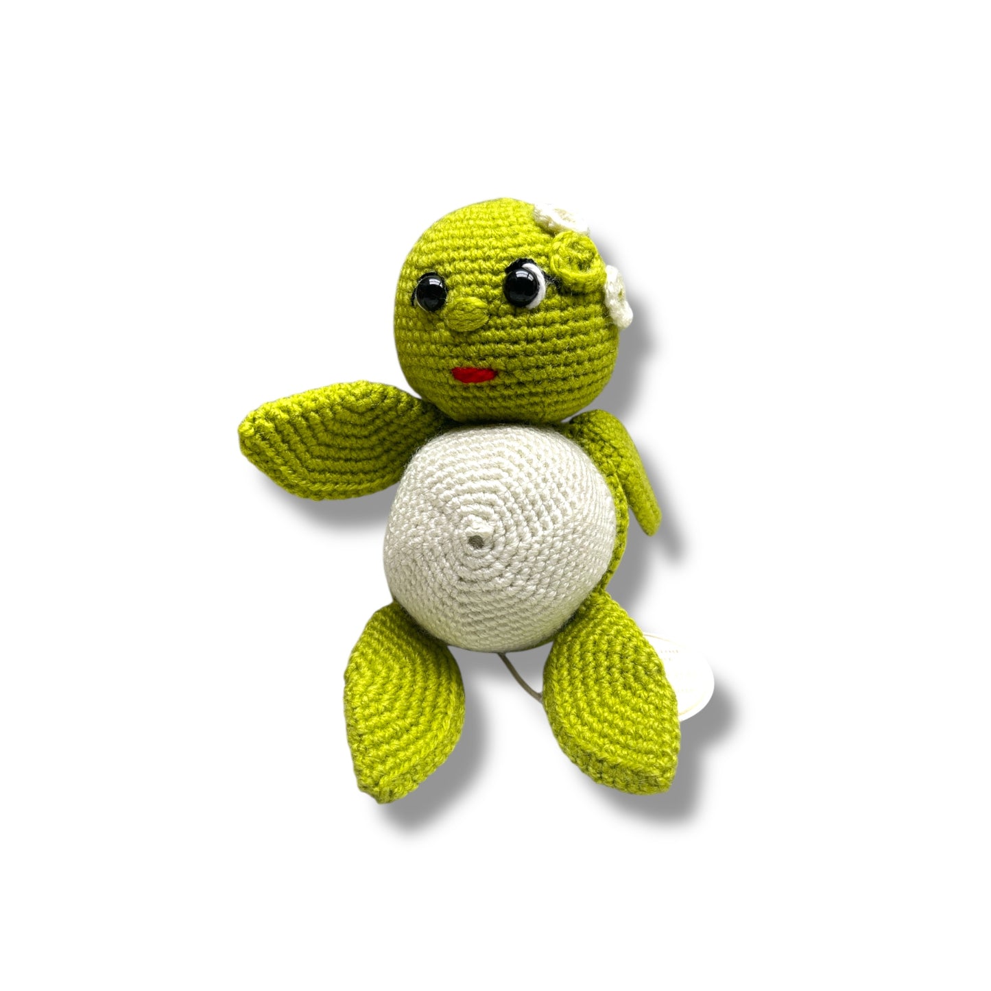 Baby Turtle