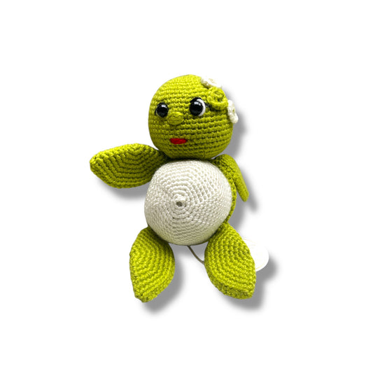 Baby Turtle