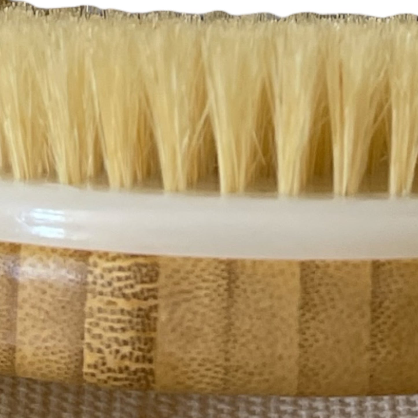 Dual Brush (Dry or Shower Wet)