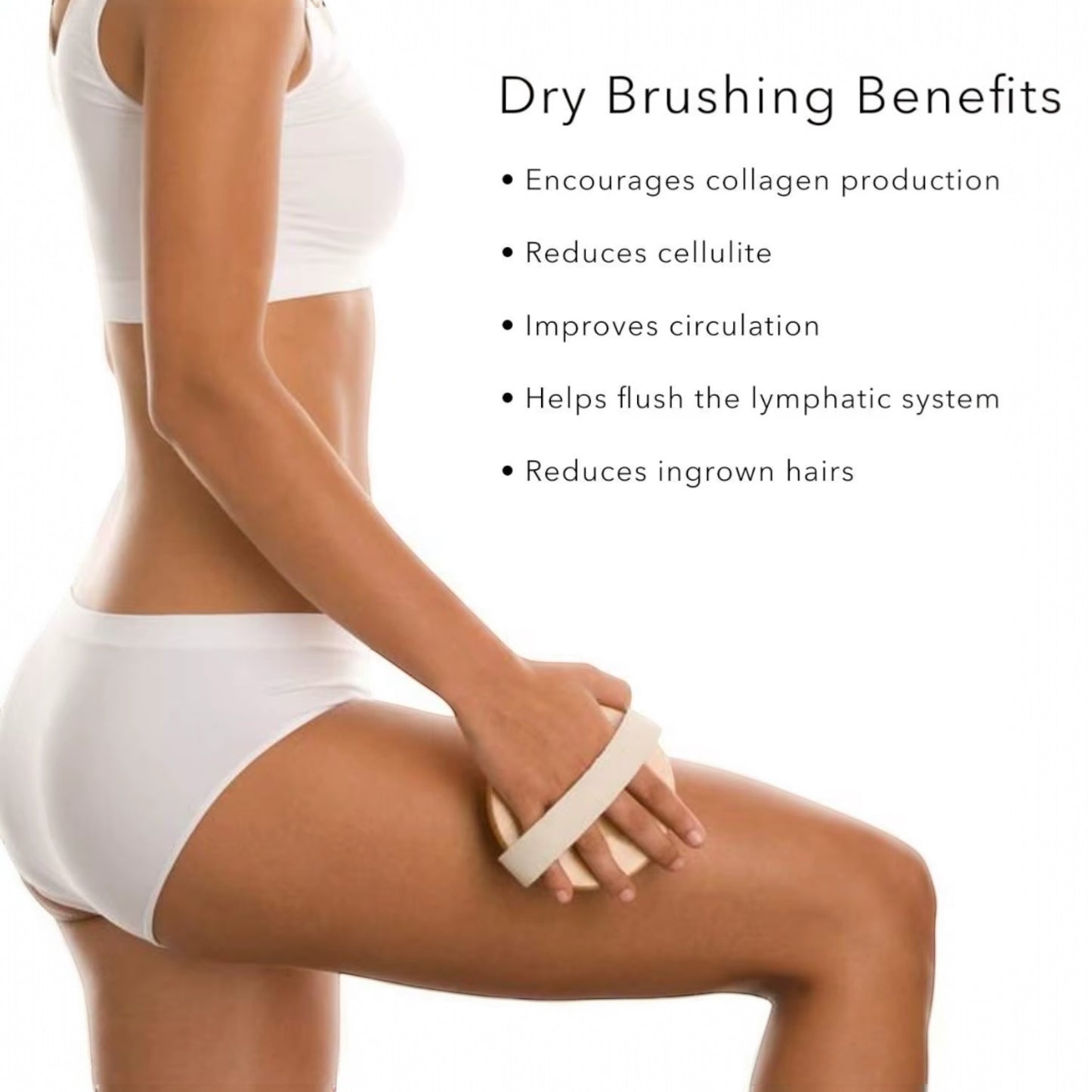 Dual Brush (Dry or Shower Wet)