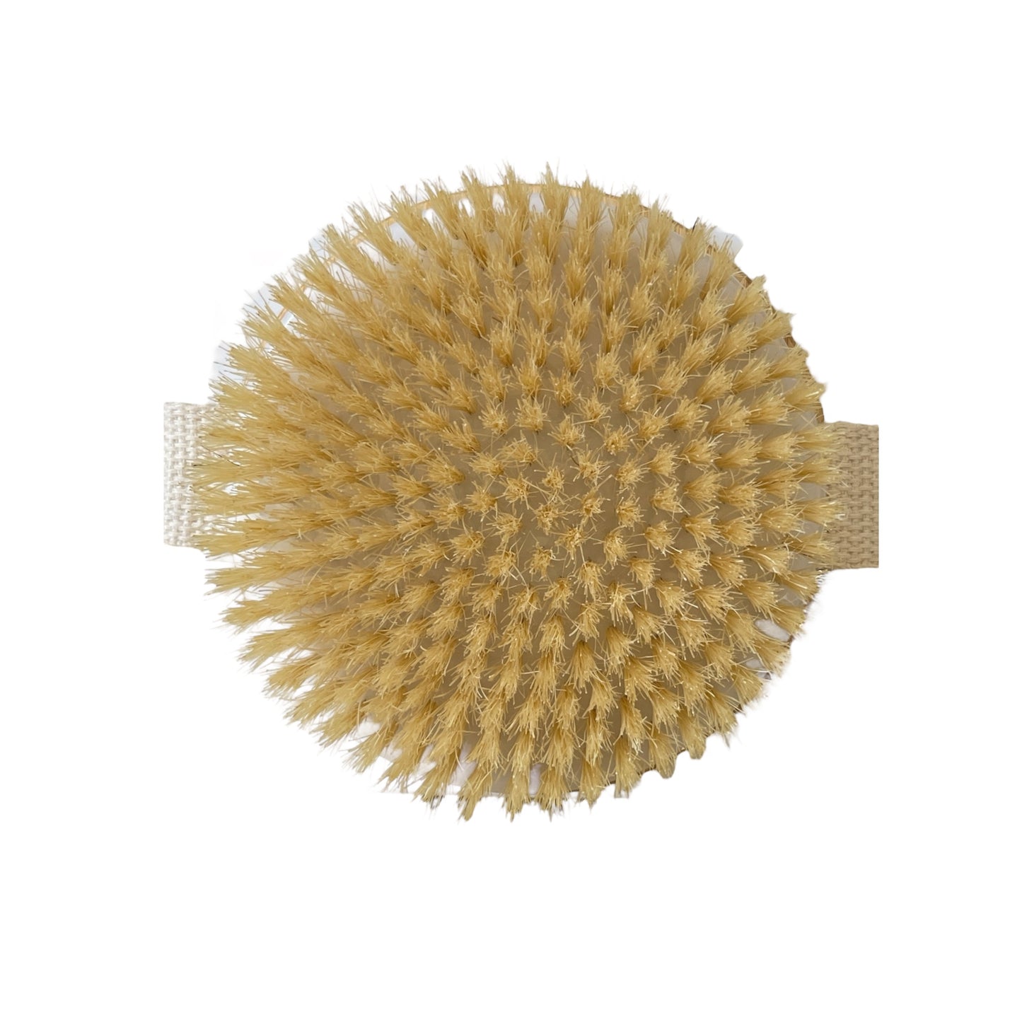 Dual Brush (Dry or Shower Wet)