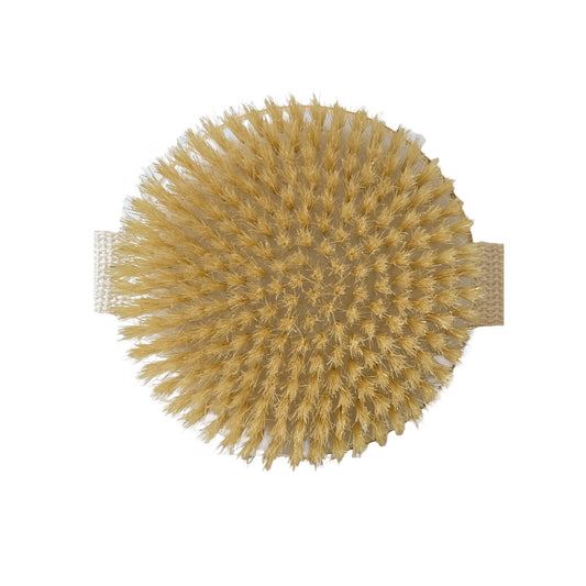 Dual Brush (Dry or Shower Wet)